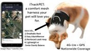 Waterproof Tracking Collars for Hunting Dogs Realtime GPS Pet Tracker Size:S